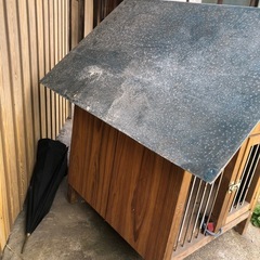犬小屋 🏠 の画像