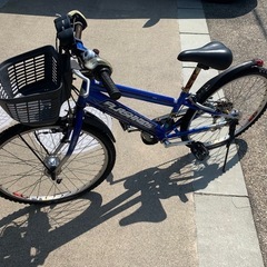 子供用自転車 22インチ フラッシュキッズ（キャプテンスタッグ