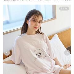 新品　ジェラートピケ　上下セットの画像
