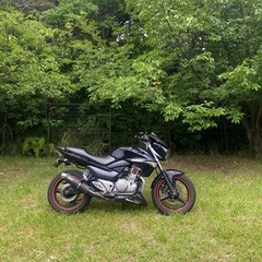 GSR250の画像