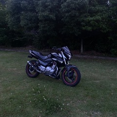 GSR250の画像