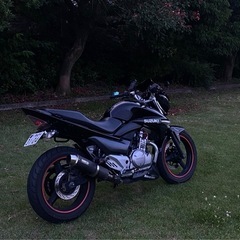 GSR250の画像