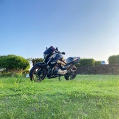 GSR250