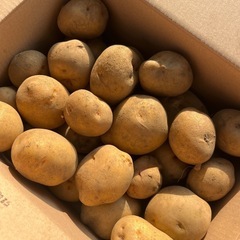 最終値下げ！無農薬じゃがいも 男爵 2.9kg