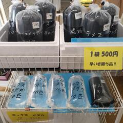 7/6〜7/9古代蓮の里にてメダカ販売中です🐟️🐟️🐟️