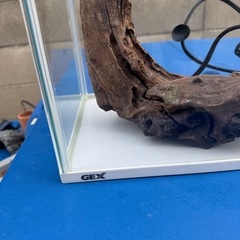 水槽セットの画像