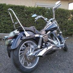 【鹿児島】ﾊｰﾚｰﾀﾞﾋﾞｯﾄﾞｿﾝ ﾀﾞｲﾅ ﾛｰﾗｲﾀﾞｰ 車検有り 程度良好の画像