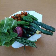 採れたて野菜の画像