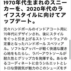  ハンドボール スペツィアル 
23.5cmの画像