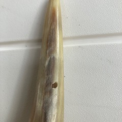 民芸品　角の画像