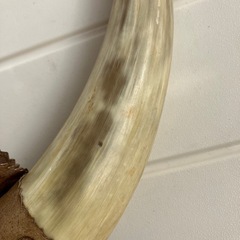 民芸品　角の画像