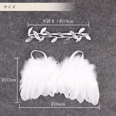 天使の羽
の画像