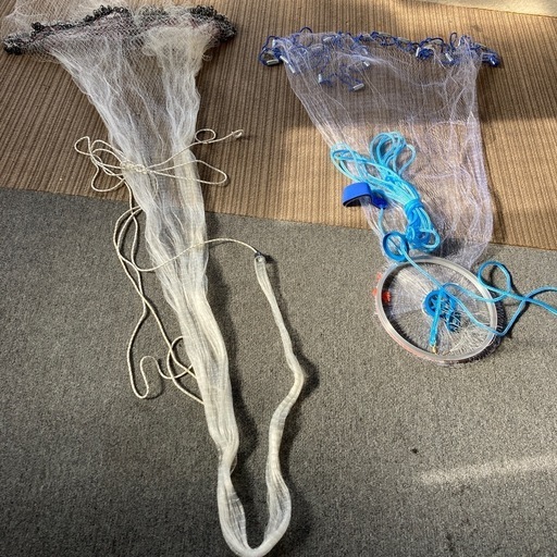 投げ網　アユ　コイ　フナ