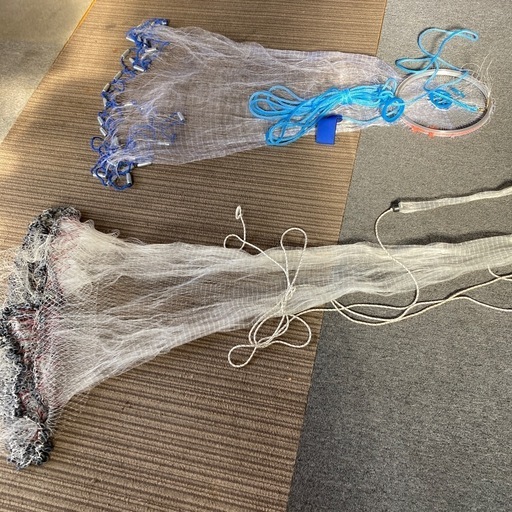 投げ網　アユ　コイ　フナ