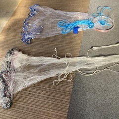 投げ網　アユ　コイ　フナの画像