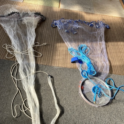 投げ網　アユ　コイ　フナ