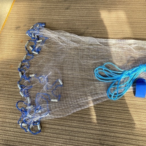 投げ網　アユ　コイ　フナ