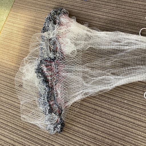 投げ網　アユ　コイ　フナ