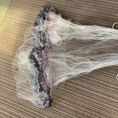 投げ網　アユ　コイ　フナの画像