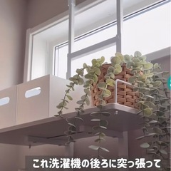 🩵【最終値下げ中❣️】🩵狭い場所/収納が作れるないでも楽々簡単ランドリー便利収納棚❣️値下げ中〜の画像