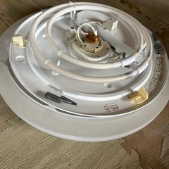 60センチの照明です