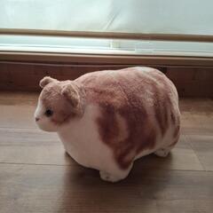 値下げしました。ふとっちいzoo にゃんこ【スコティッシュフォールド】の画像