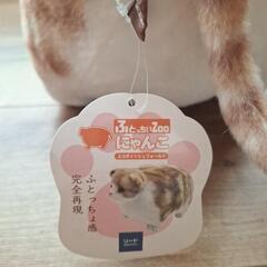 値下げしました。ふとっちいzoo にゃんこ【スコティッシュフォールド】の画像