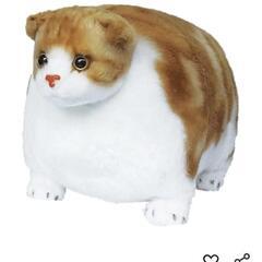 値下げしました。ふとっちいzoo にゃんこ【スコティッシュフォールド】の画像