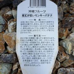 モンキーバナナの画像