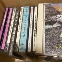 CD37枚の画像