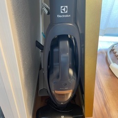 Electrolux 掃除機 wellQ6