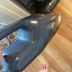 Electrolux 掃除機 wellQ6の画像