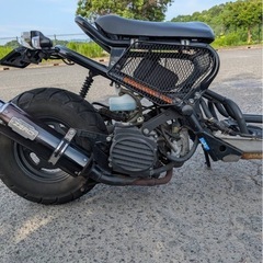 ホンダ ZOOMER ズーマー　　の画像
