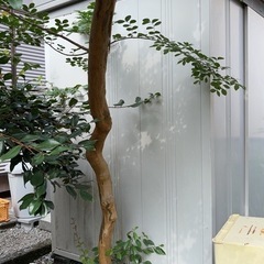 倉庫の画像