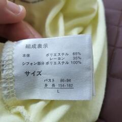Ｔシャツの画像