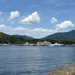独身のライン友達