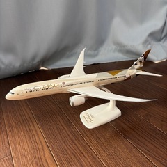 PPC　ETIHAD AIRYAYS B787-10 1/200の画像