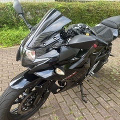 GSX250 r etc付　本文を確認願います。