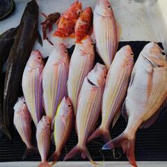 2025 7月再募集‼️近場　船釣り　釣友募集 - メンバー募集