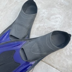 フィン※取りに来てくれる方限定の画像