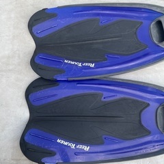 フィン※取りに来てくれる方限定の画像