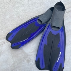 フィン※取りに来てくれる方限定の画像