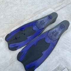 フィン※取りに来てくれる方限定の画像