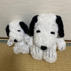 飾ってたぬいぐるみ