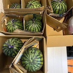 西瓜　1個1500円