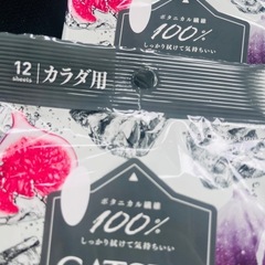 【新品未使用】GATSBY ボディシート 2個❶の画像