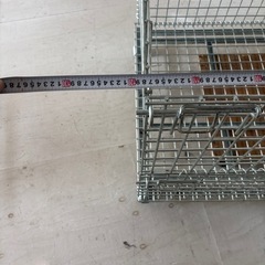 メッシュパレット　パレティーナ
の画像