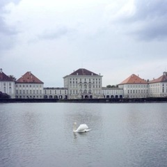 ✨🦢バレエヴァリエーションワークショップ🩰🌈の画像