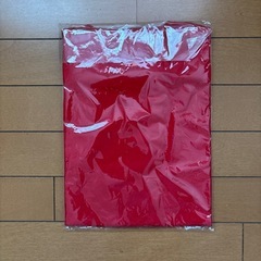 【未開封】まつりみなみTシャツDの画像