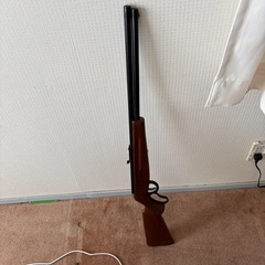 おそらくコルク銃の画像